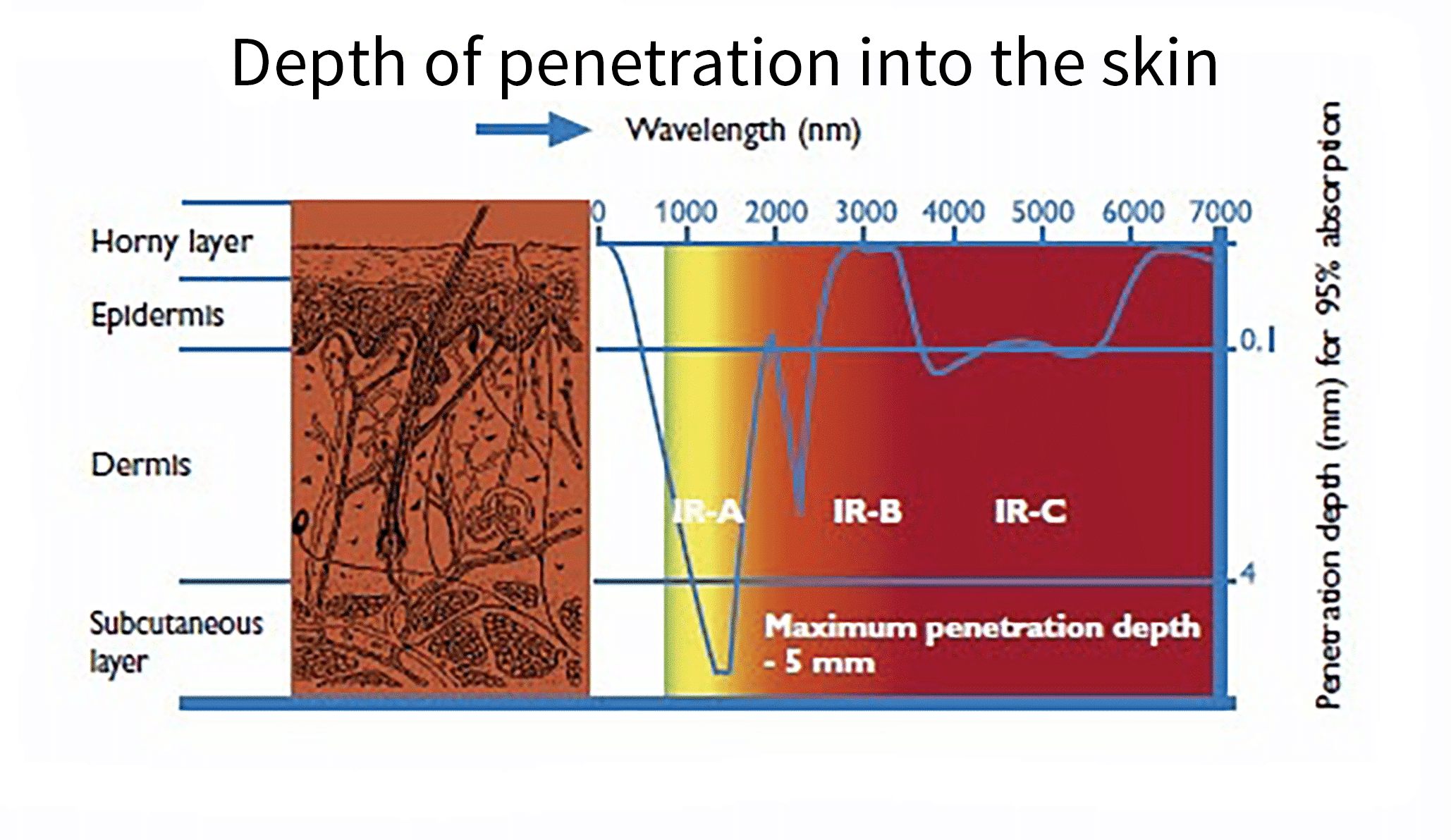 infrared skin penetration